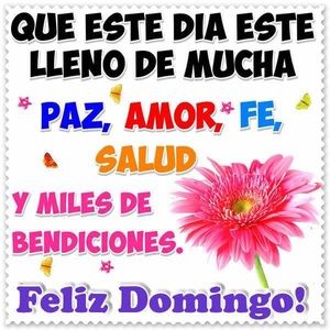 Meet your Posher, Alejandra